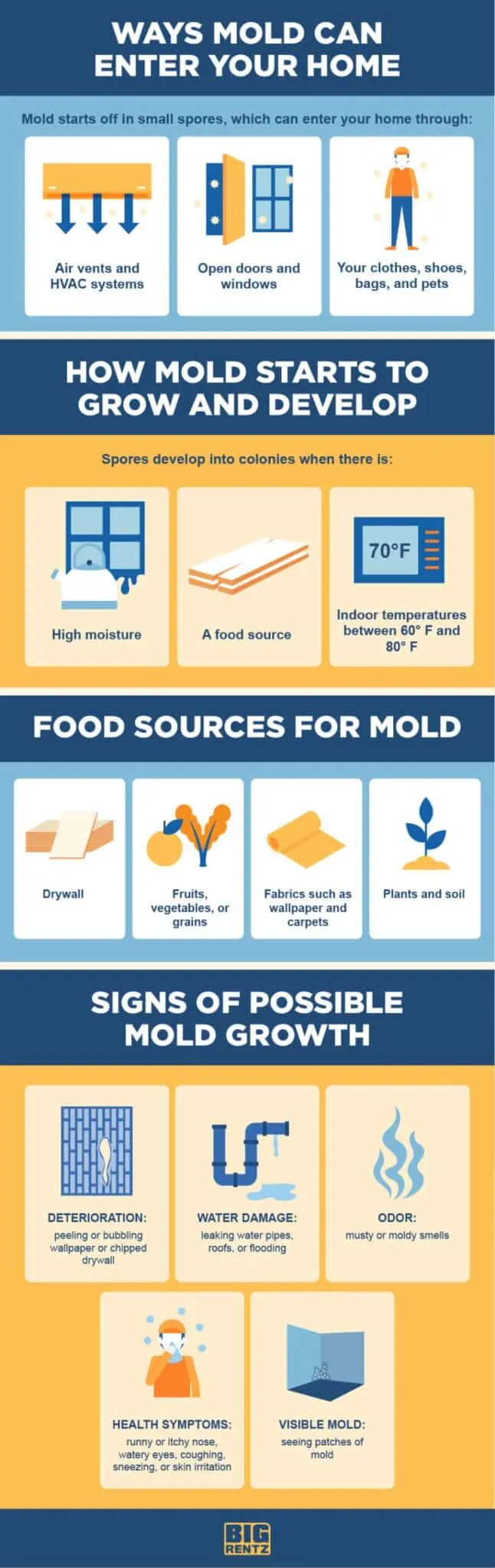 How to Get Rid of Mold in Your Home and Why Is It Important?