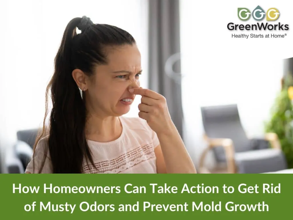 How to Prevent Musty Smell: Effective Tips & Tricks 3 How to Prevent Musty Smell: Effective Tips & Tricks