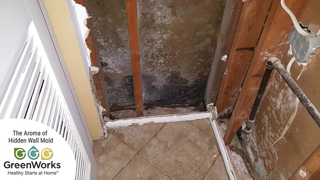 Closet leak 2021 gwe