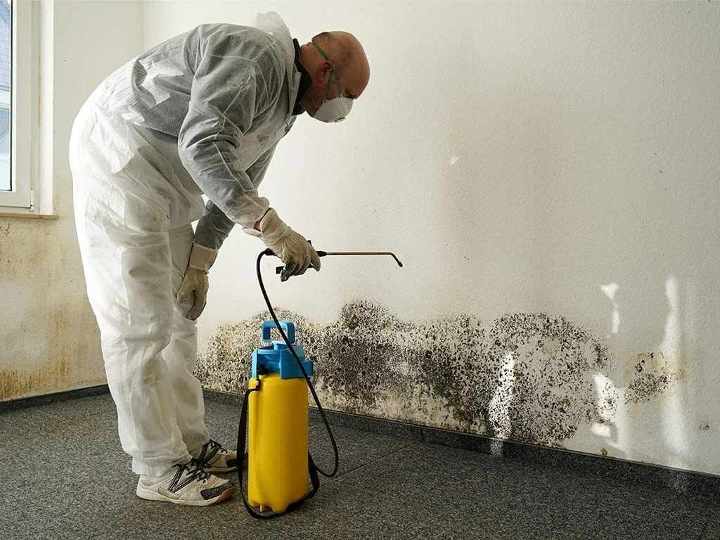 Mold Removal & Remediation Services Union County, NJ