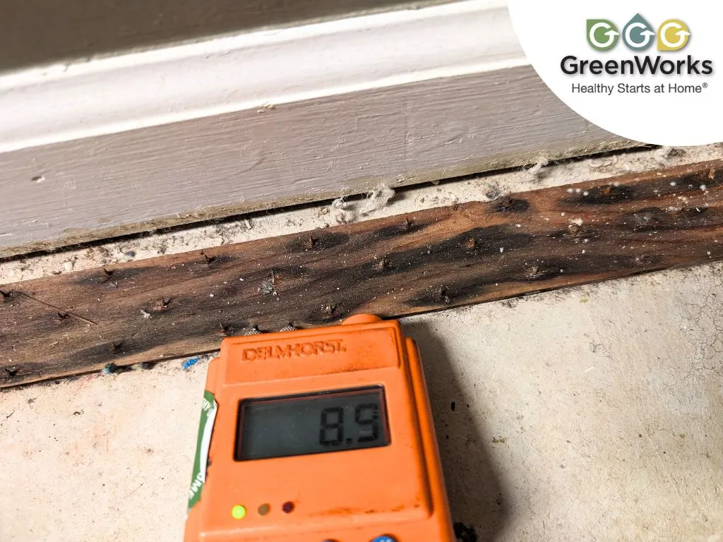 Moisture meter reading taken on a damaged wooden baseboard, showing elevated moisture levels during a home inspection for potential water or mold issues.