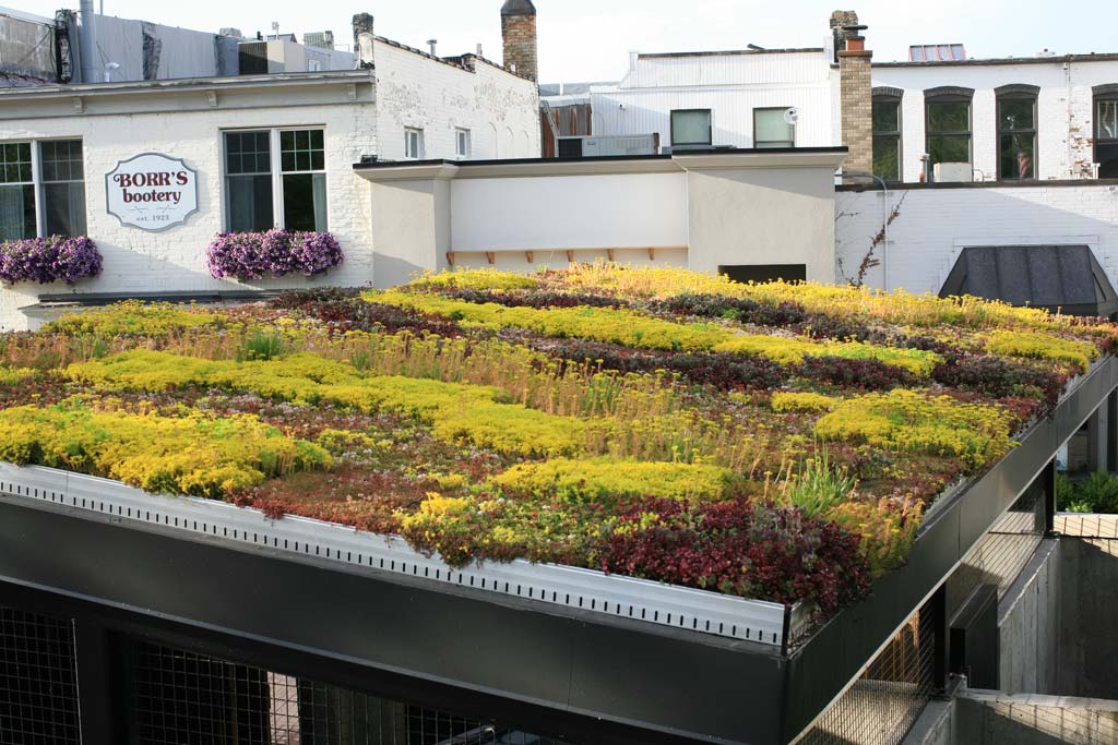 Green roof installed