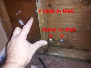 Behind the wall, several small holes from old cable lines were found to be the source of water intrusion triggering mold growth.
