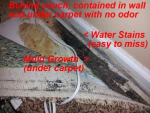 Water dripping in through an exterior wall went undetected for years until hidden mold growth was thought to be the cause of health effects.