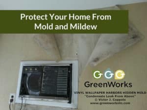 How to protect your home from mold and mildew