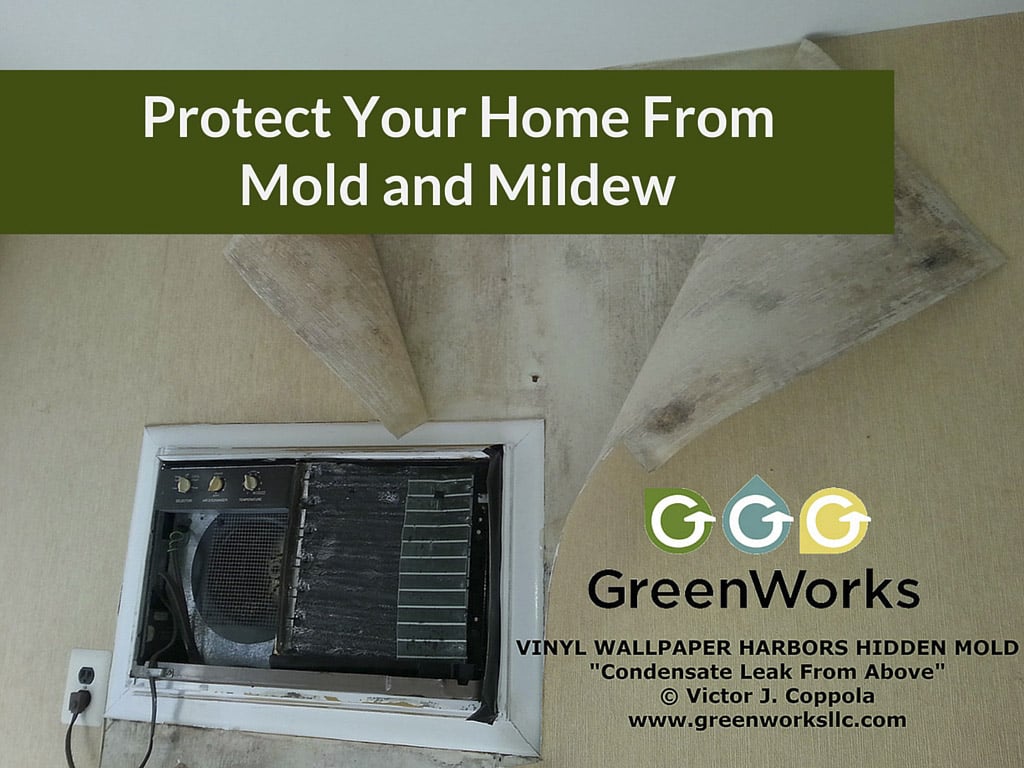How-to-protect-your-home-from-mold-and-mildew-allenwood, nj