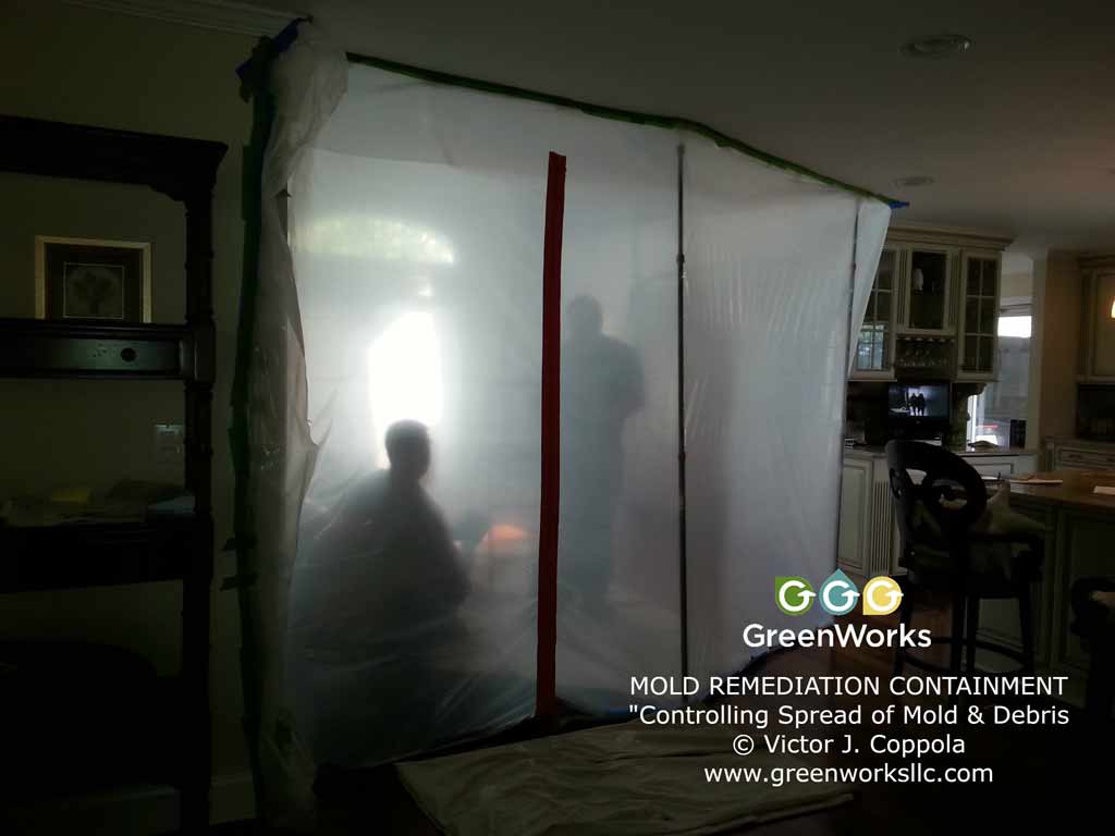 Mold containment mold remediation contractor