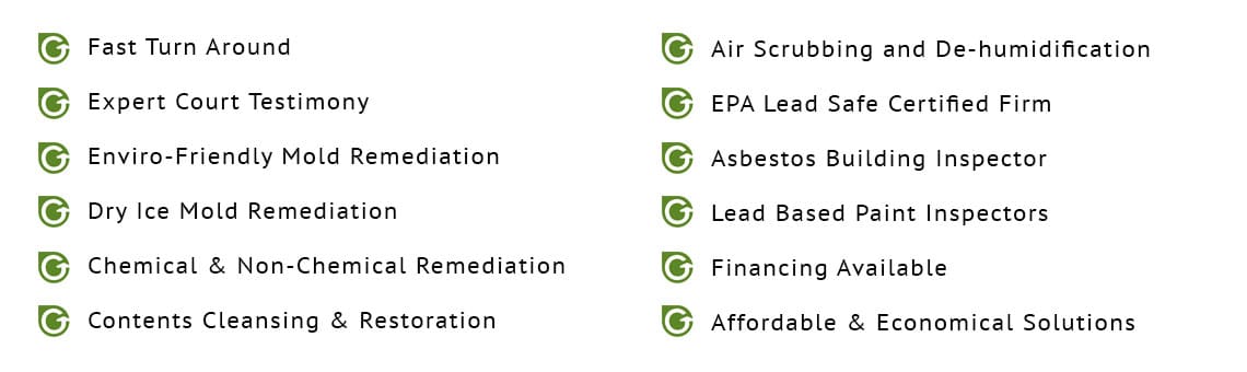 Mold Remediation Toms River Mold Remediation Toms River