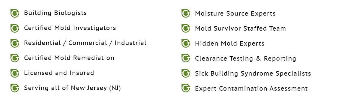 Mold Removal Neptune Township Mold Removal Neptune Township