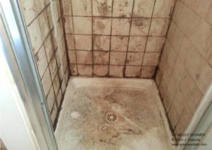 Moldy shower - gw llc