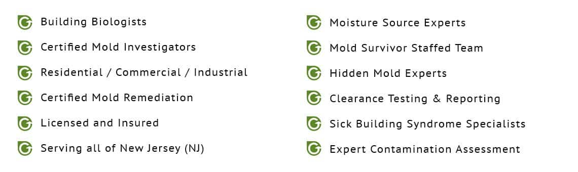 Mold-Removal-Howell Township Mold Removal Howell Township