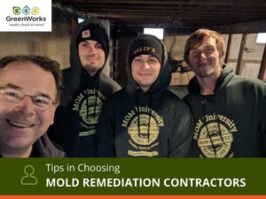 Mold remediation contractors in nj