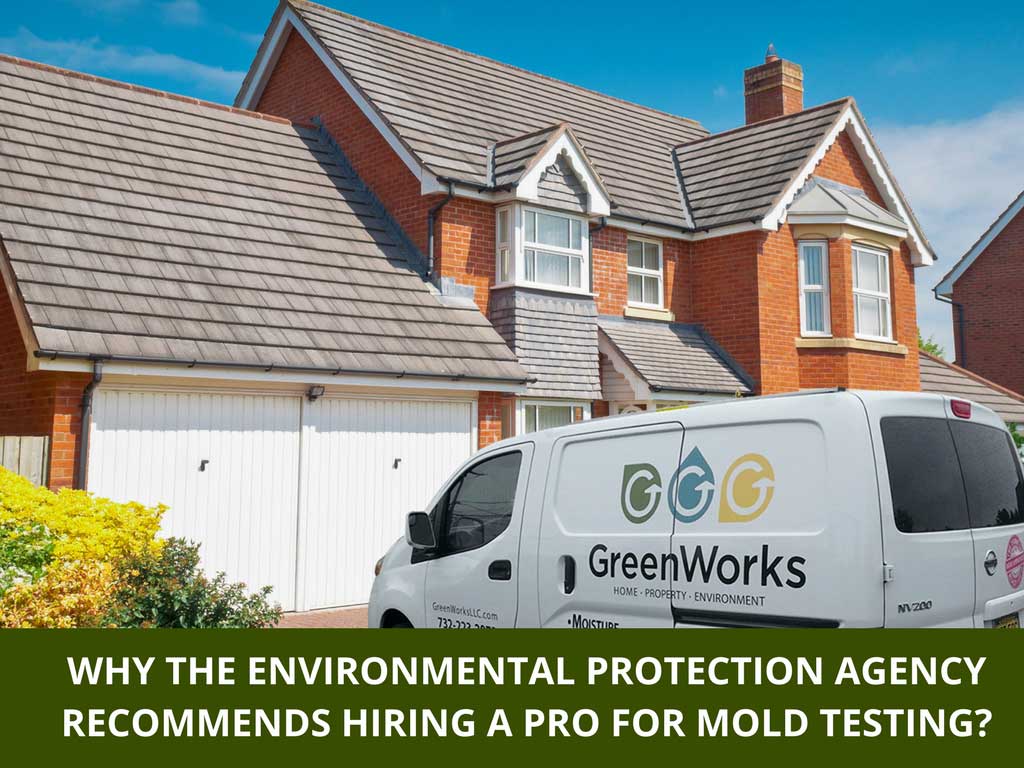 Why the environmental protection agency recommends hiring a pro for mold testing - nj