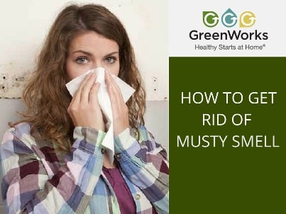 Get rid of musty smell in basement