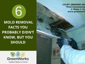 Mold removal facts