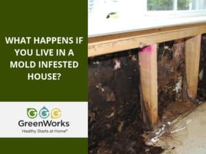 Mold infested house
