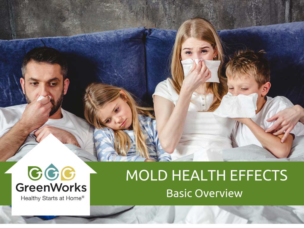 Mold health effects - basic overview