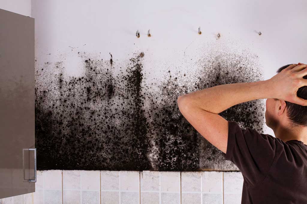 Mold growing in homes is harmful to humans