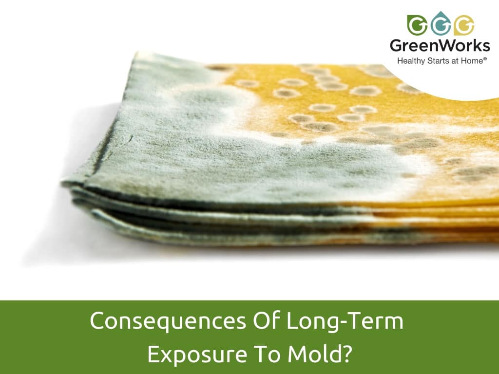 Consequences of long term exposure to mold