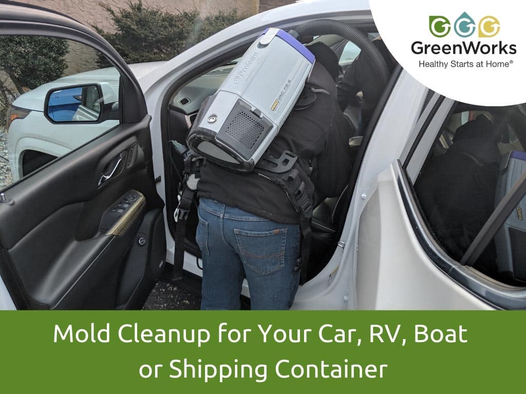 Mold cleanup for your car rv boat or shipping container