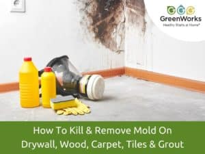 How to kill & remove mold on drywall, wood, carpet, tiles & grout