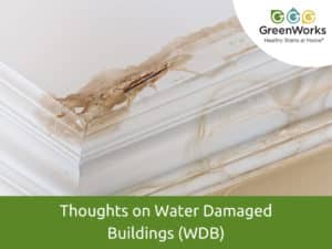 Thoughts on water damaged buildings (wdb)