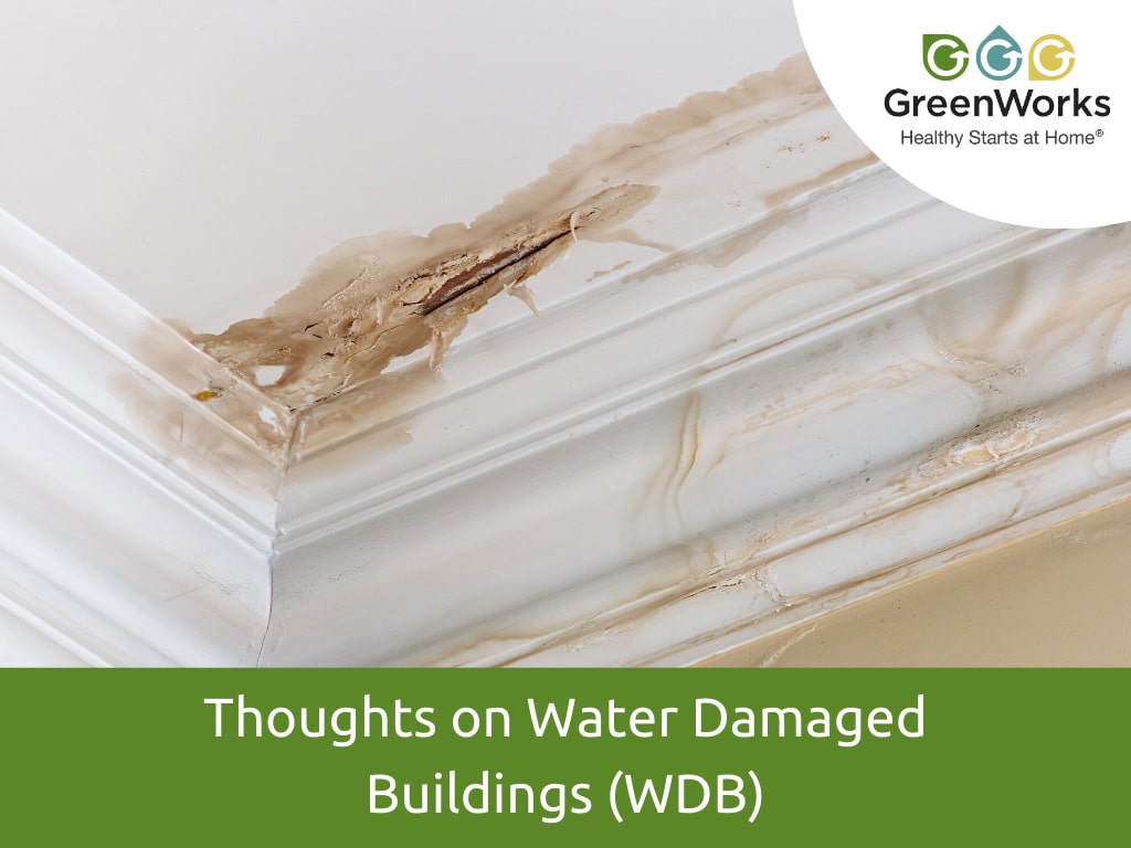 Thoughts on water damaged buildings (wdb)