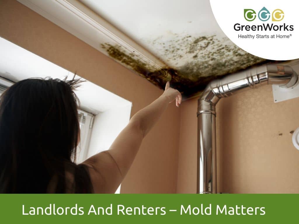 Landlords and renters – mold matters