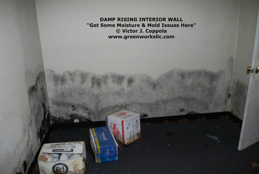Damp rising interior wall
