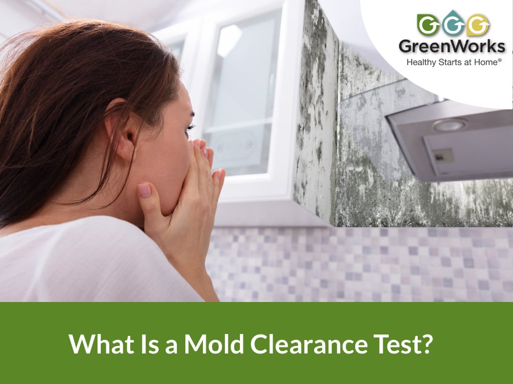 What is a mold clearance test