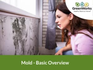 Woman looking at mold on wall at home