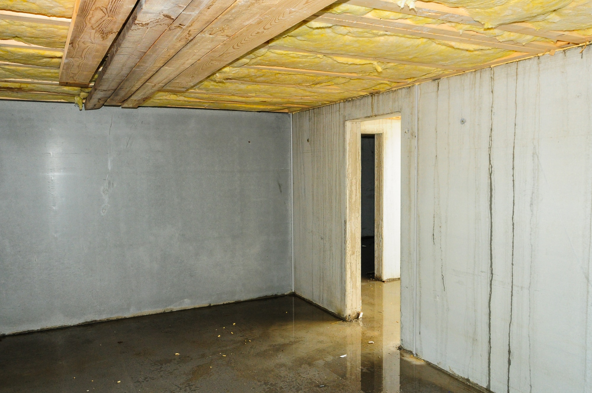 To Seal Or Not-To-Seal? 3 Wet faulty builded cellar