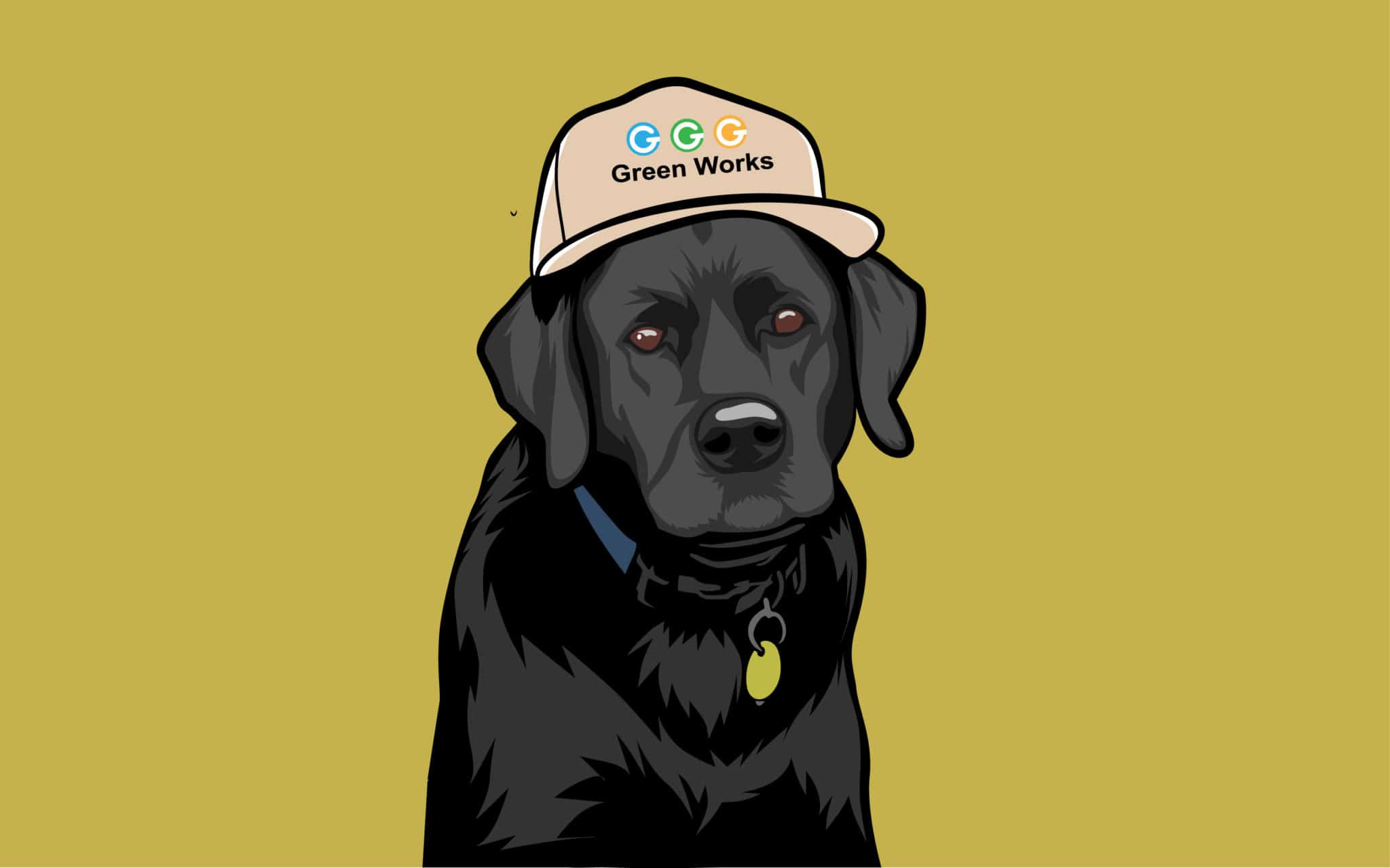 Fiverr Hoagy Fiverr hoagy