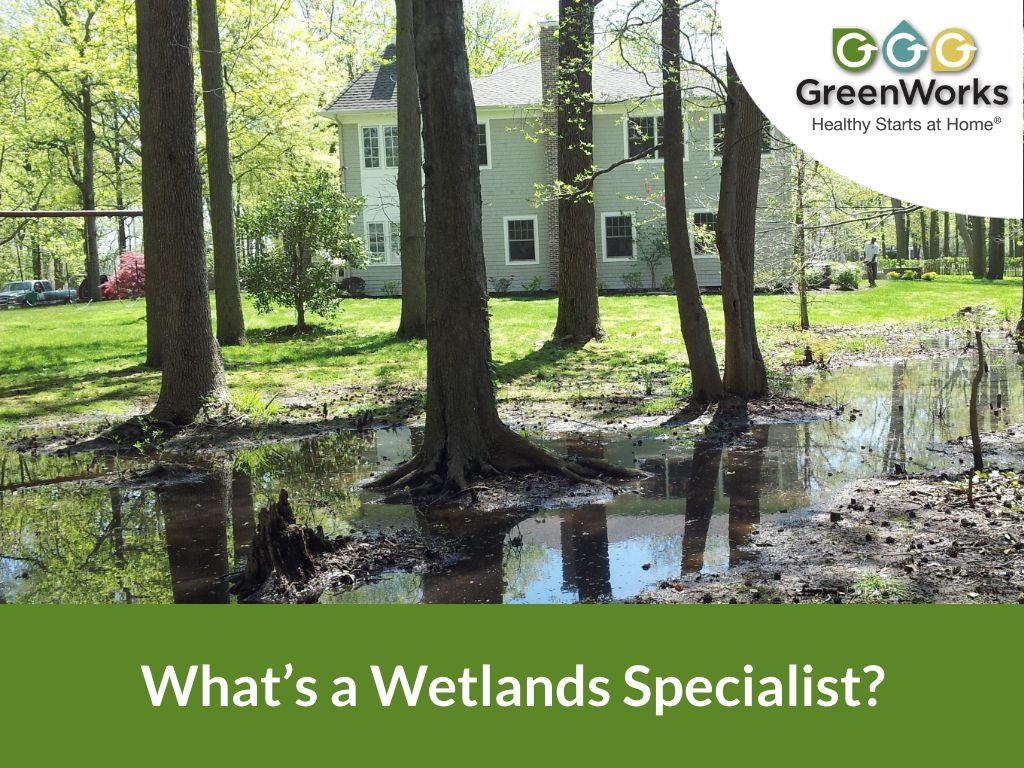 Whats a wetlands specialist