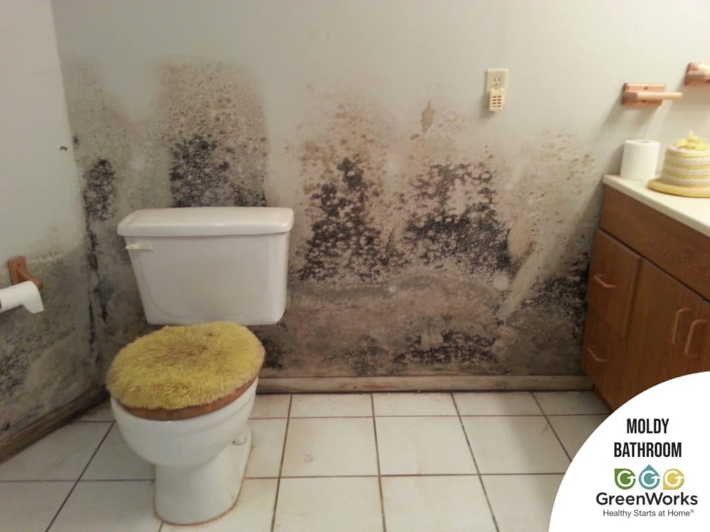 The ultimate guide to black mold removal and prevention 1