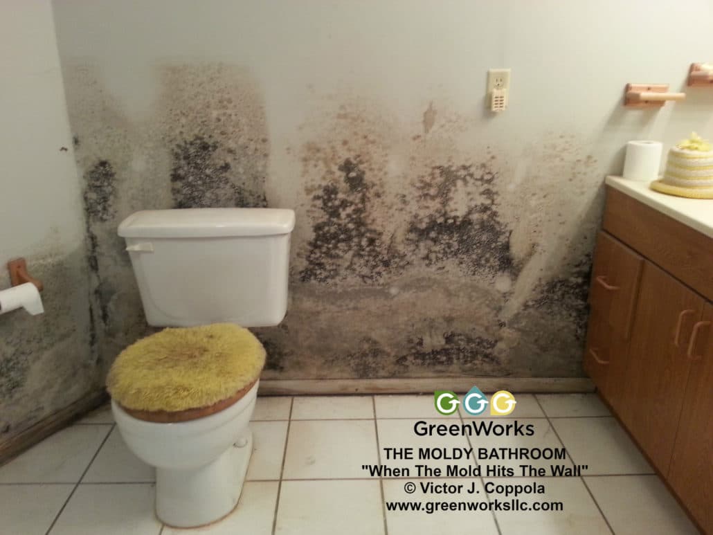 The Moldy Bathroom