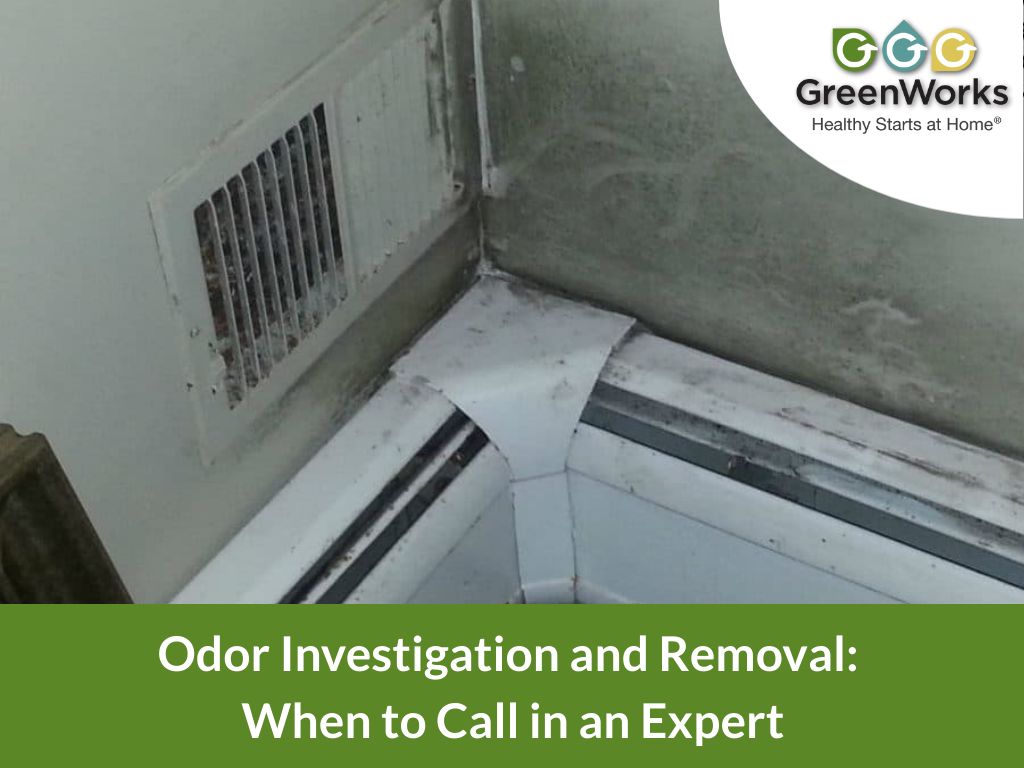 Odor investigation and removal
