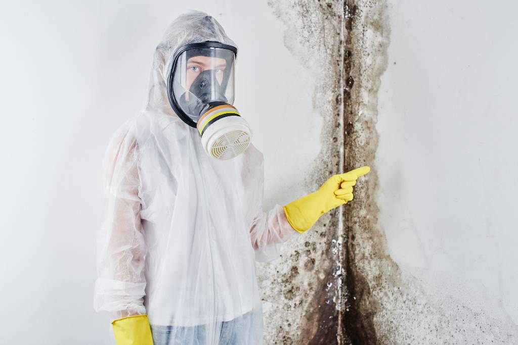 What does black mold smell like in a home? 3