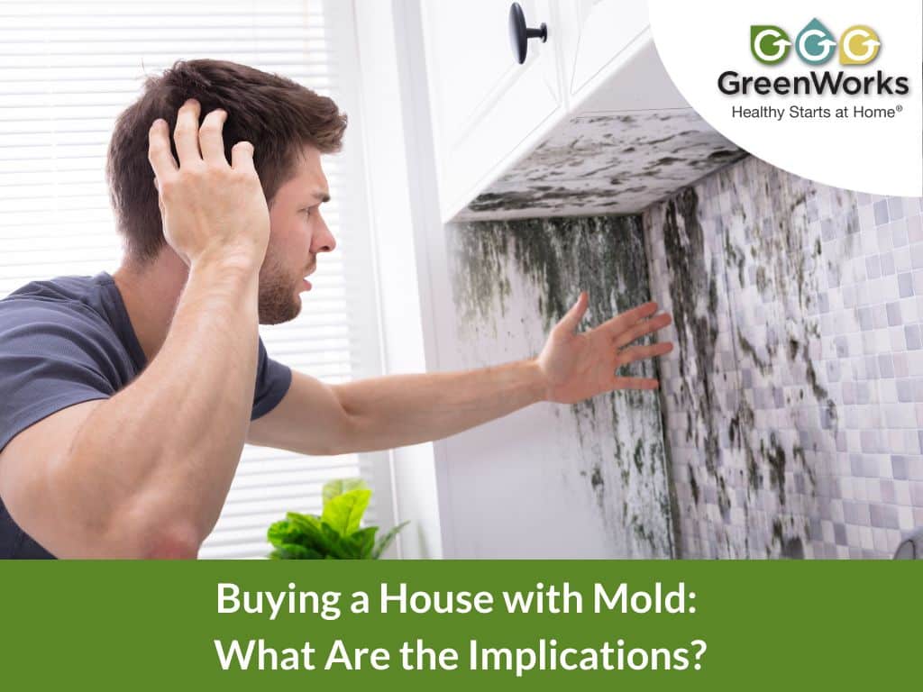 Buying a house with mold
