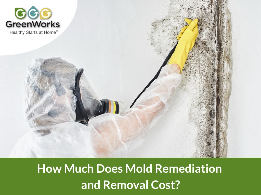 How much does mold remediation cost