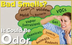 How-to-remove-odors-from-home