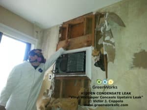 What-causes-mold