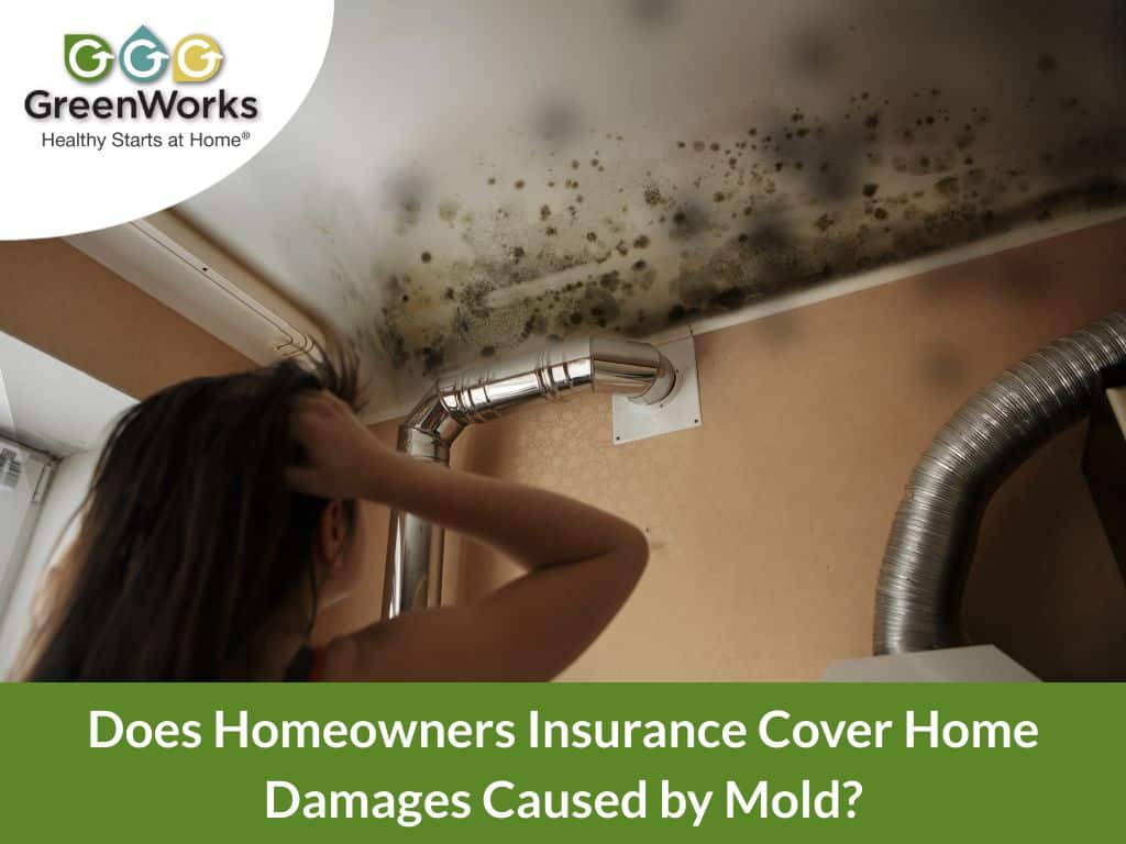 Does homeowners insurance cover home damages caused by mold