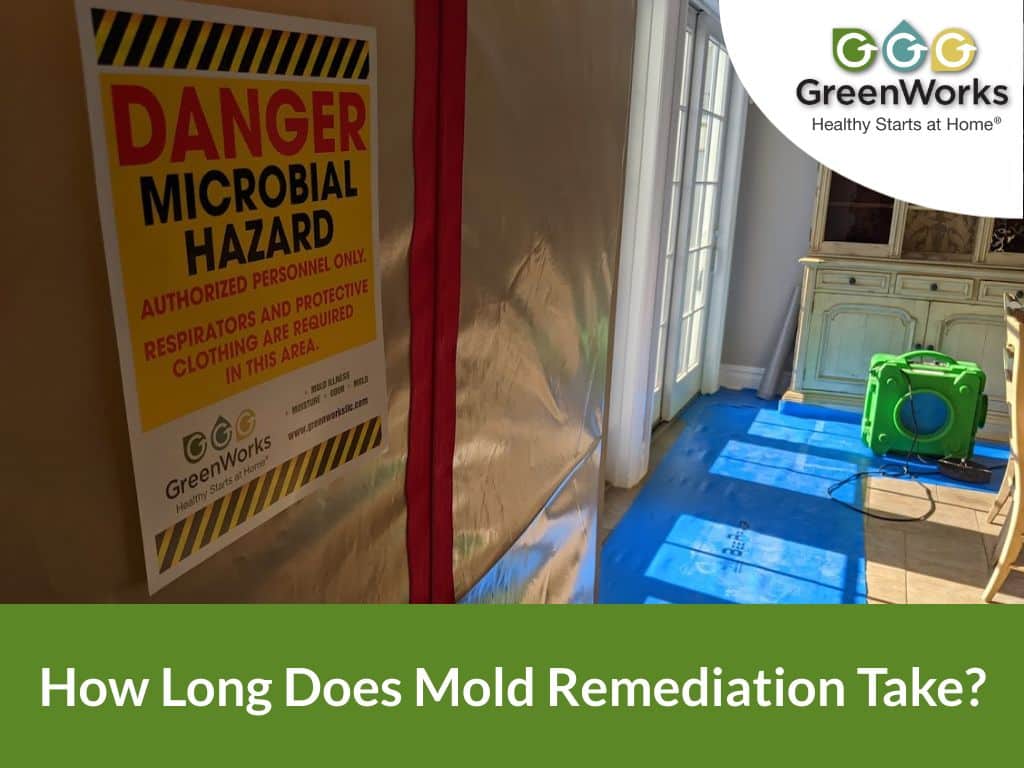 How long does mold remediation take