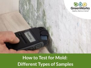 How to test for mold