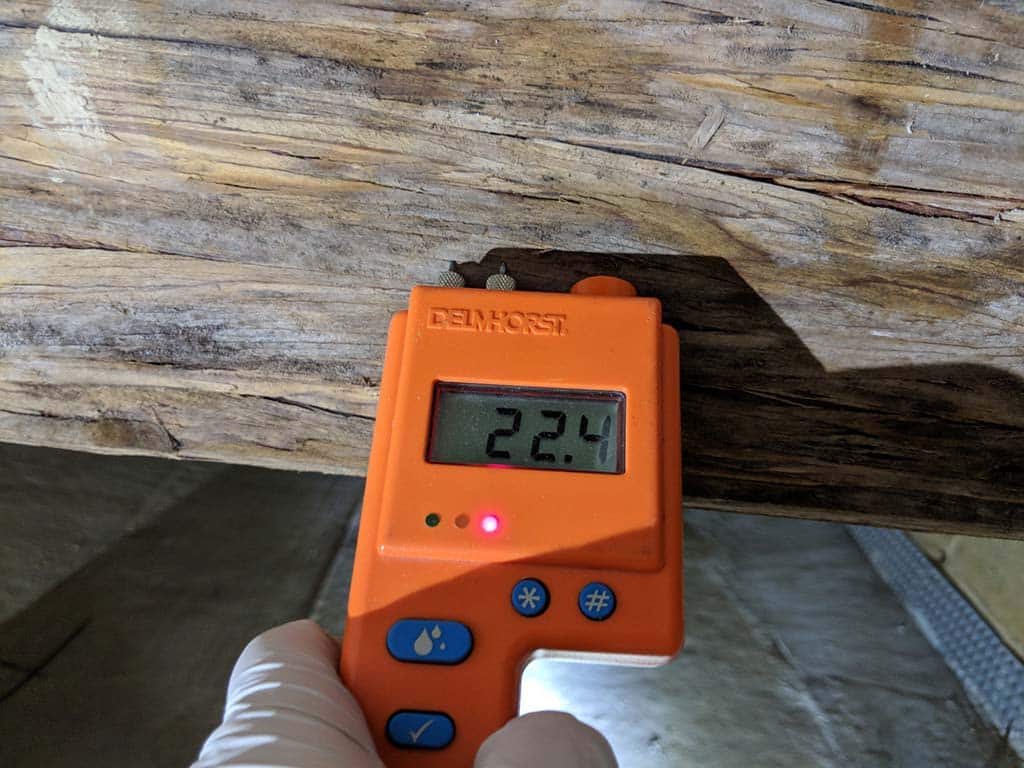 Mold inspection and testing