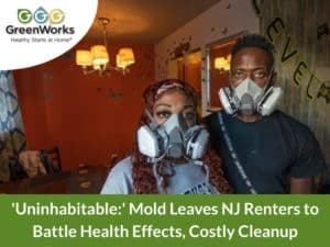 Uninhabitable mold leaves nj renters to battle health effects costly cleanup