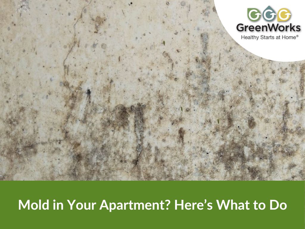 Mold in your apartment redfin blog