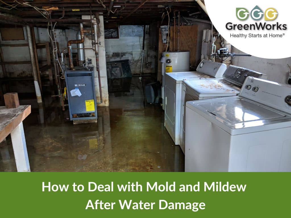 how to deal with mold after water damage
