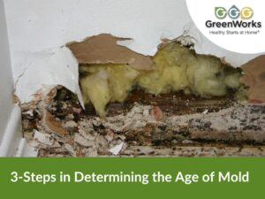 3 steps in determining the age of mold